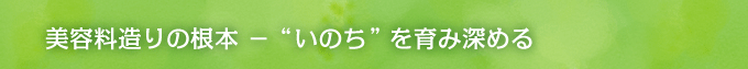 美容料造りの根本 － いのちを育み深める