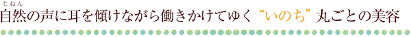 自然の声に耳を傾けながら働きかけていくいのち丸ごとの美容