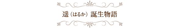 「遥（はるか）」誕生物語